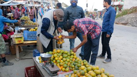 मागअनुसार जुनार उत्पादन नहुँदा कारखाना जीर्ण