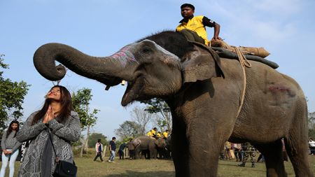 हात्तीले घर भत्काउँदा रु १२ लाखको क्षति