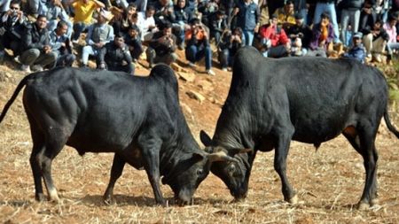 गोरु जुधाउन ९ सदस्य समिति गठन