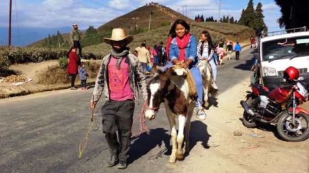 कन्याममा घोडा व्यवसाय उकालो लाग्दै