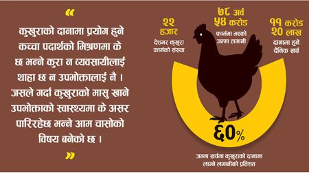 दैनिकजसो भान्सामा पुग्ने कुखुराको मासु कति खतरनाक छ, यो पढौं