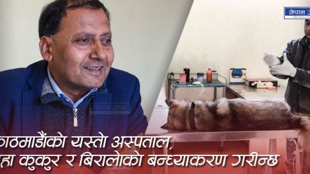 काठमाडौंको यस्तो अस्पताल, जहाँ कुकुर र बिरालोको बन्ध्याकरण गरिन्छ (भिडियोसहित)