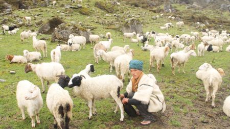 गर्मी बढेसँगै भेँडीगोठ लेकतिर