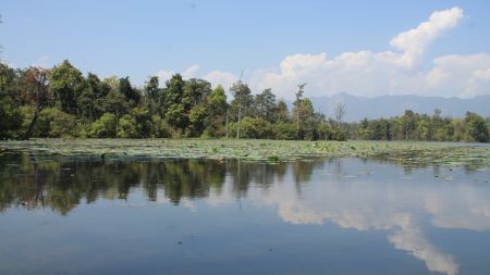 वन्यजन्तुका लागि कृत्रिम ताल थपिँदै