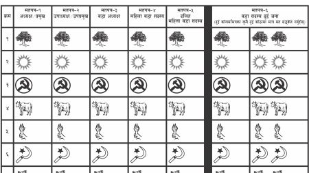 अलग-अलग मतपत्र छापिने, अर्बौंको भार, मतदान झन्झटिलो