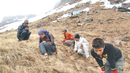 यार्सा सङ्कलकको मृत्यु