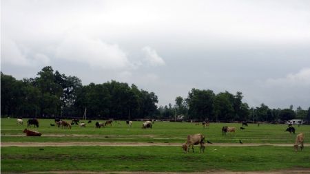 डेढ दशकदेखि प्रयोगविहिन विमानस्थल, गौचरणमा परिणत