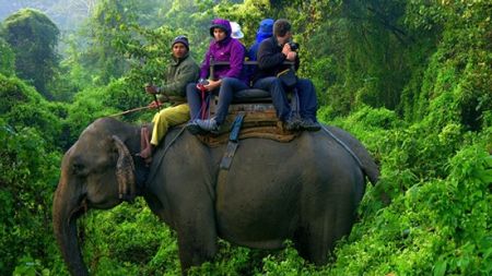 हात्तीसारेका लागि पहिलोपटक बीमा, घटना भइहाले १० लाख पाउने