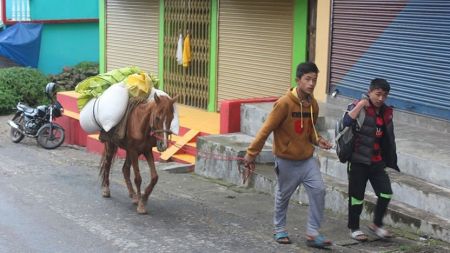 दार्जिलिङमा नेपालबाट नुन–तेल