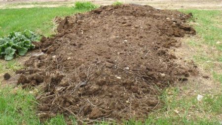 आफ्नी छोरीलाई घरपछाडिको बगैँचामा खाल्डो खनेर गाड्ने कस्ताे बाबु