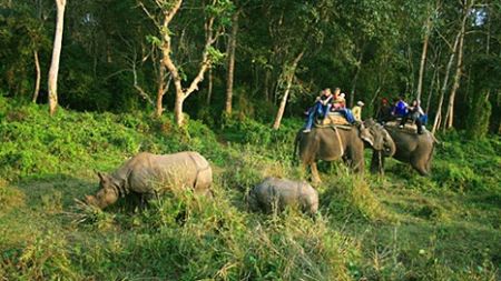 आन्तरिक पर्यटक लोभ्याउँदै पर्सा राष्ट्रिय निकुञ्ज