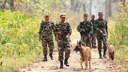 वन्यजन्तु सुरक्षामा चितवन राष्ट्रिय निकुञ्जकाे गस्ती