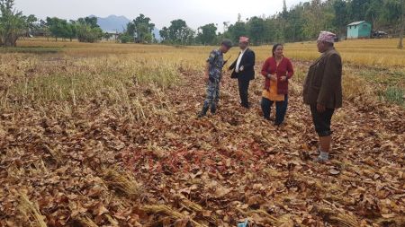 मध्यरातमा एक्कासी सुख्खायामको बाढी आएपछि...