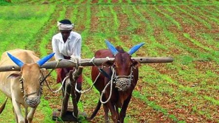 अर्बौँ रकम दुरुपयोगः किसानको बजेटमा परामर्शदाताको रजाइँ