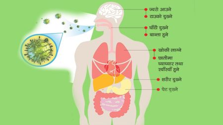 भाइरलको जोखिम, पत्तै नपाइ जान सक्छ ज्यान