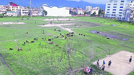 सरकारी जग्गा हाउजिङ कम्पनीलाई