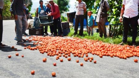 पाँच ट्रक नेपाली टमाटर लैजान खोज्दा  रोक्ने भारतले नेपालको व्यापार घाटा कम गर्न सघाउने रे  !