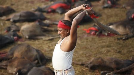 मन्दिरमा पशु बलि प्रतिबन्ध