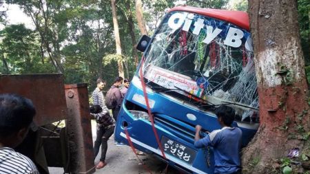  चितवनमा  बस दुर्घटना, १२ जना घाइते 