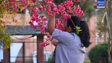 वसन्त ऋतुको स्वागतमा आहा ! कति राम्रा फूल