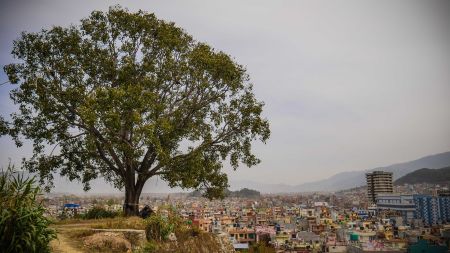 भक्तपुरको एउटा तस्वीर बन्यो एसियाकै उत्कृष्ट