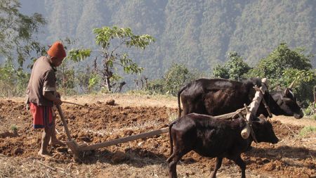 यस्तो भएपछि कसरी उँभो लाग्छ कर्णालीः किसानको पैसा विलासी गाडीमा खर्च 