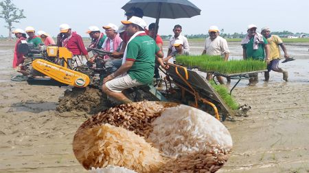 वार्षिक २५ अर्बको चामल आयात