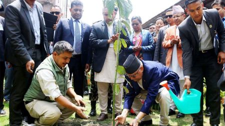 एक वर्षमा ४५ लाख बिरुवा रोपियो, सिंहदरबारमा हर्रोबर्रो