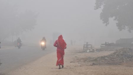 शीतलहरले तराइको जनजीवन प्रभावित