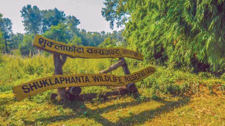 चराका प्रजाति बढ्दै शुक्लाफाँटामा