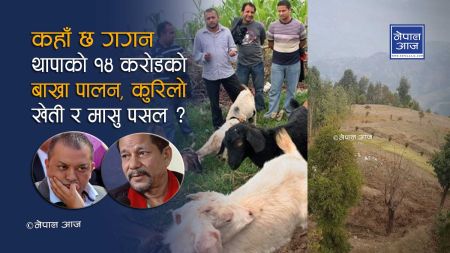 काठमाण्डौंको मेयर भइहाले केशब स्थापितले गगन थापाका बाख्रा खोज्लान ?