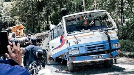 यात्रु बस र स्कुटरमाथि रुख ढल्यो: तीनको मृत्यु, १३ जना घाईते