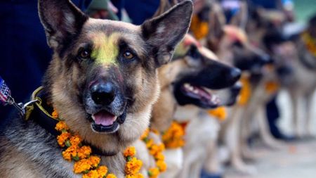 यसरी मनाइयाे कुकुर तिहार (फाेटाे फिचर)